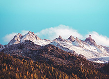 开云体育网页登录-马尚砍60分刷新队史纪录 强势表现令众人高呼真香