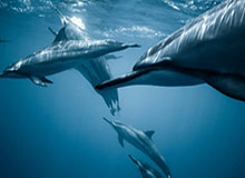 开云体育PC端-孙兴慜第5次获得韩国足球先生 已成历史第一人